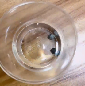 <a href='http://m.nybtm.com' title='危險品貨代' >危險品貨代</a>